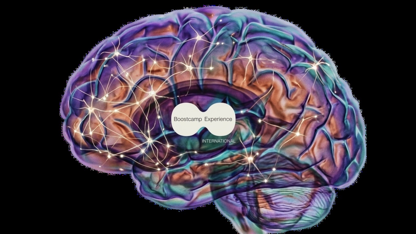Illustrated brain with neural pathways