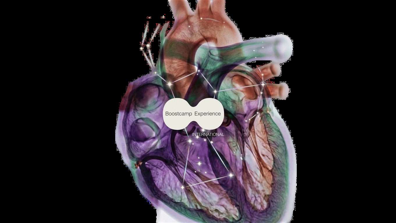 Illustrated human heart